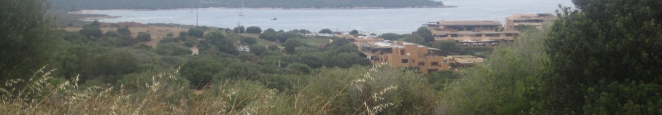 IMG_1015