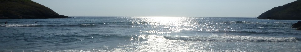 P1000635